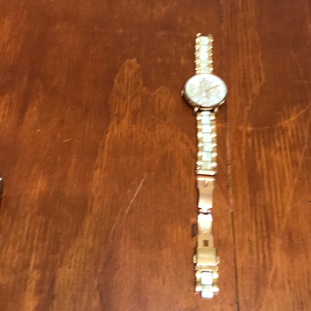 Fossil watch with missing link